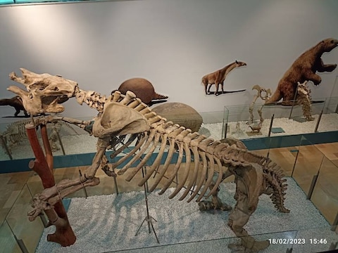 Museo de Ciencias Naturales