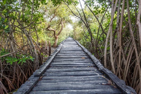 chidambaram_landscape_8