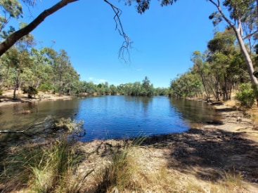 Adelaide_Belair_National_Park_1