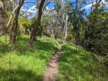 Adelaide_Belair_National_Park_2