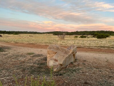 Adelaide_Cobbler_Creek_Recreation_Park_4