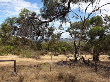 Adelaide_Cobbler_Creek_Recreation_Park_5
