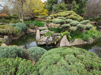 Adelaide_Himeji_Garden_1