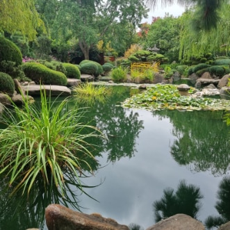 Adelaide_Himeji_Garden_5