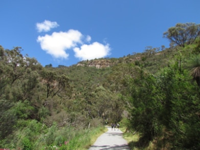 Adelaide_Morialta_Conservation_Park_3