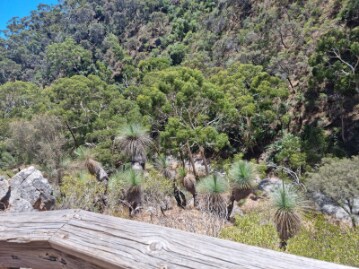 Adelaide_Morialta_Conservation_Park_4