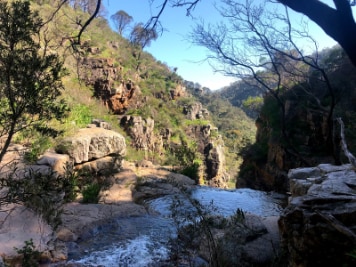 Adelaide_Morialta_Conservation_Park_5