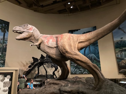 Atlanta_Fernbank_Museum_4