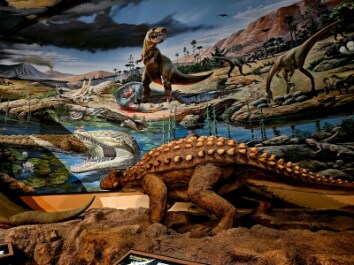 Atlanta_Fernbank_Museum_6