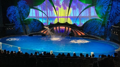 Atlanta_Georgia_Aquarium_4