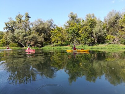 Belgrade_Belgrade_War_Island_Kayak_2