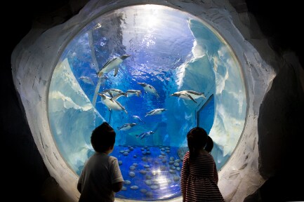 Birmingham_National_SEA_LIFE_Centre_Birmingham_2