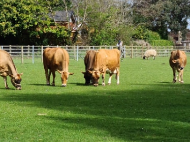 Birmingham_Sheldon_Country_Park_&_Old_Rectory_Farm_1