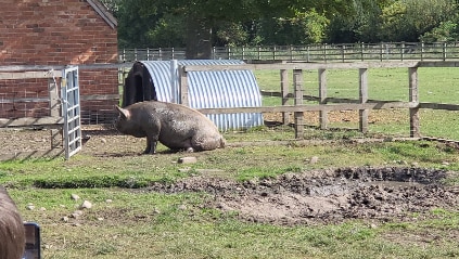 Birmingham_Sheldon_Country_Park_&_Old_Rectory_Farm_4
