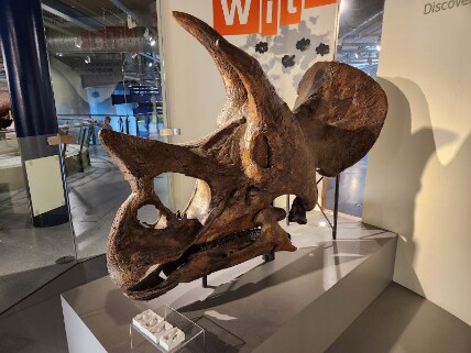 Birmingham_Thinktank_Birmingham_Science_Museum_4