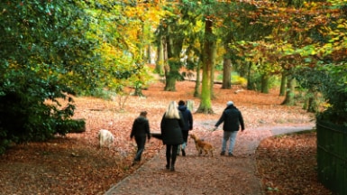 Birmingham_Warley_Woods_3
