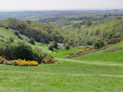 Birmingham_Waseley_Hills_Country_Park_1