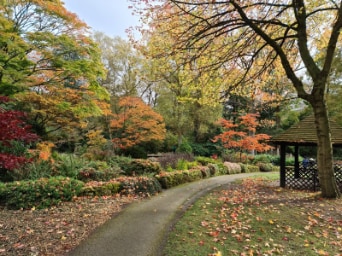 Birmingham_Winterbourne_House_&_Garden_8