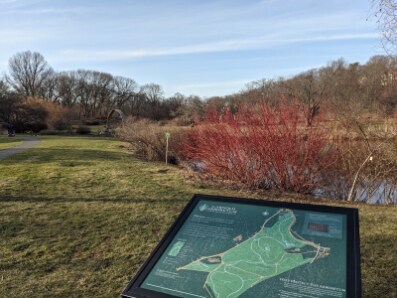 Boston_Arnold_Arboretum_of_Harvard_University_5