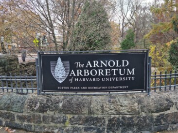Boston_Arnold_Arboretum_of_Harvard_University_7