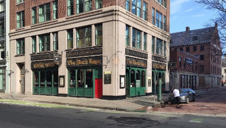 Boston_Black_Rose_3