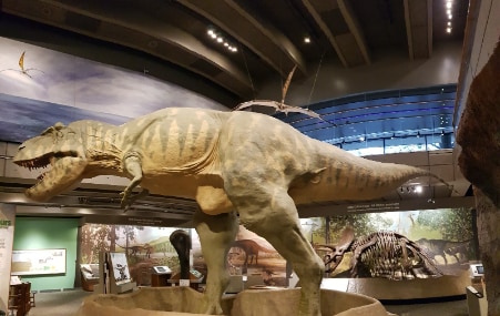 Boston_Museum_of_Science_1
