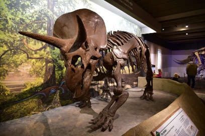 Boston_Museum_of_Science_7