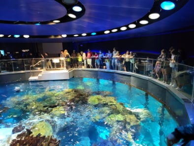 Boston_New_England_Aquarium_2