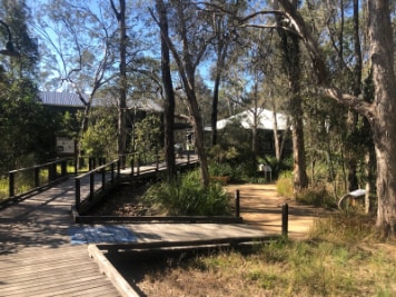 Brisbane_Boondall_Wetlands_Environment_Centre_6