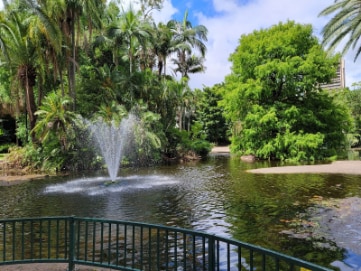 Brisbane_Brisbane_City_Botanic_Gardens_2