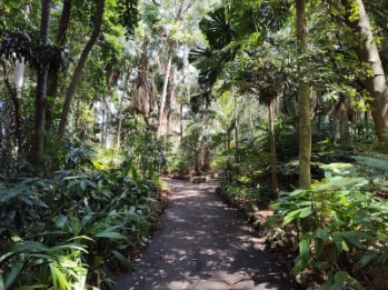 Brisbane_Brisbane_City_Botanic_Gardens_3