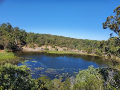 Brisbane_Daisy_Hill_Conservation_Park_1