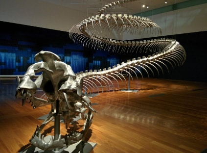 Brisbane_Gallery_of_Modern_Art_6