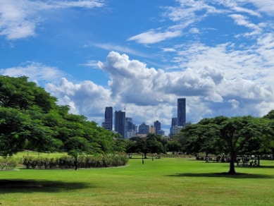 Brisbane_New_Farm_Park_1