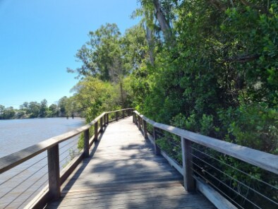 Brisbane_Sherwood_Arboretum_1