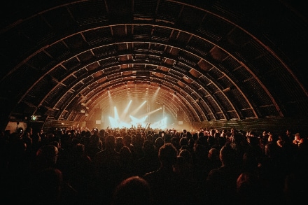 Brisbane_The_Triffid_2