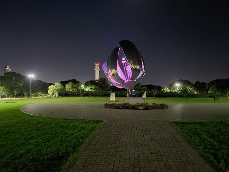 Buenos_Aires_Floralis_Generica_7