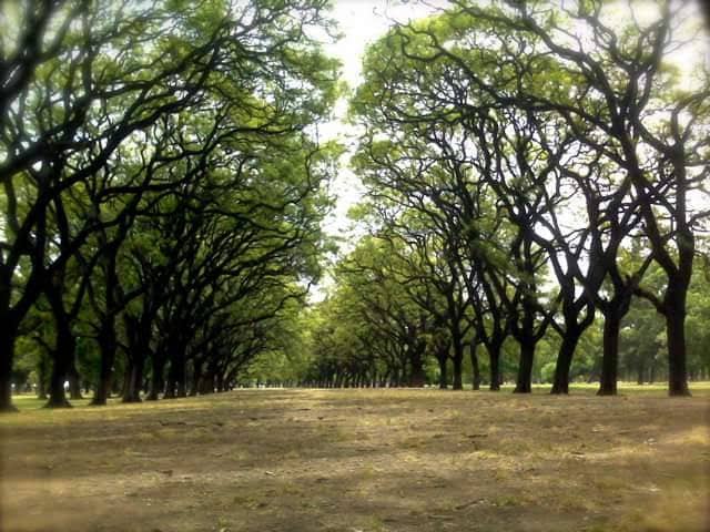 Buenos_Aires_Palermo_4