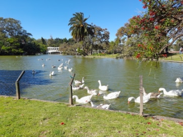 Buenos_Aires_Paseo_El_Rosedal_Garden_4