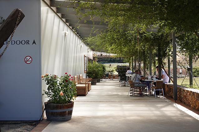 Canberra_Mount_Majura_Vineyard_2