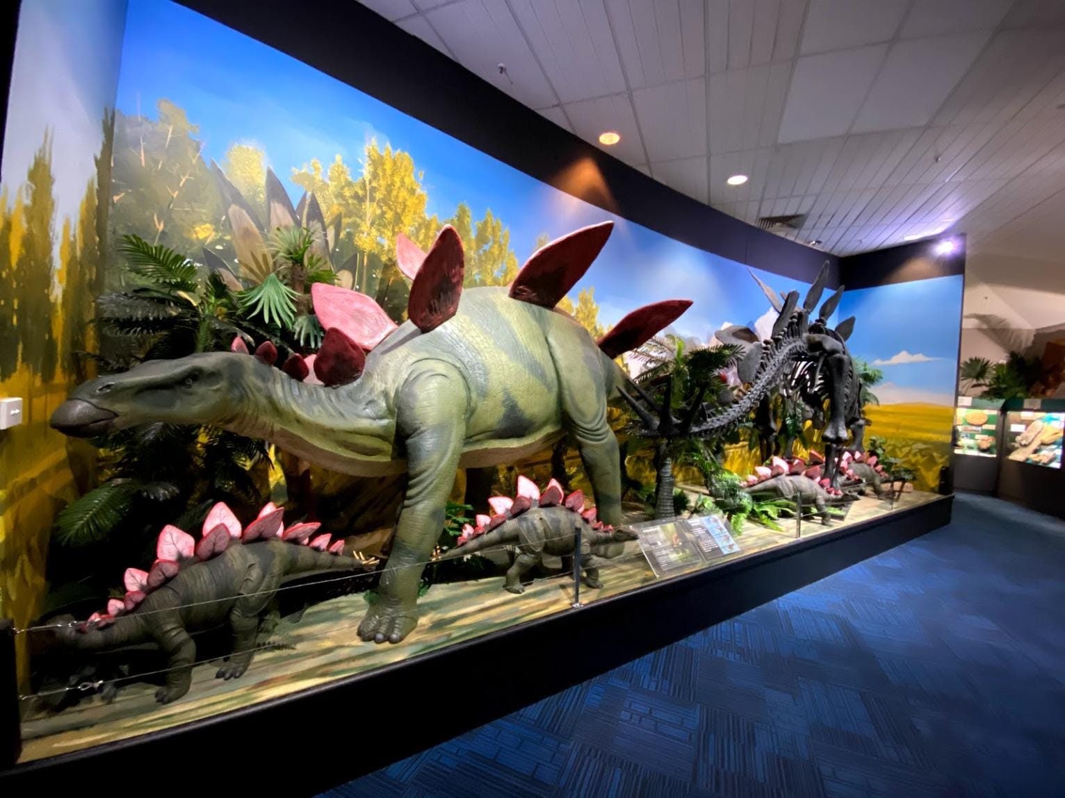 Canberra_National_Dinosaur_Museum_5