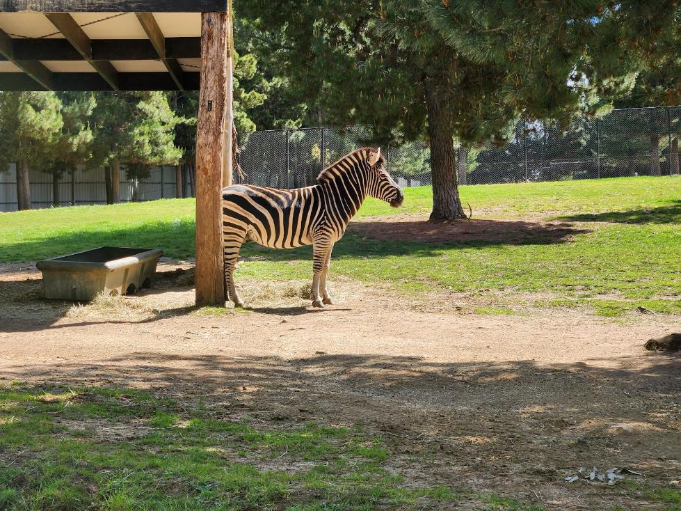 Canberra_National_Zoo_&_Aquarium_6