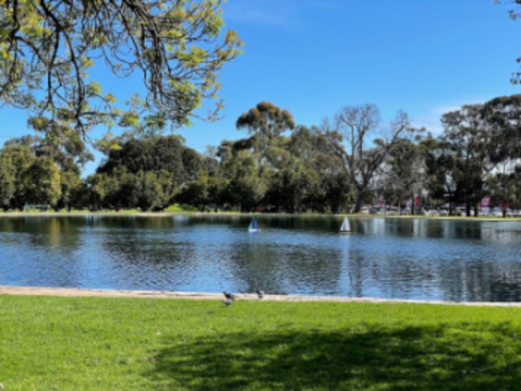 Adelaide_Bonython_Park_3