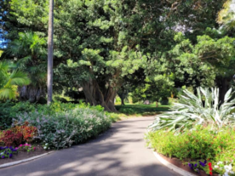 Adelaide_Botanic_Garden_4