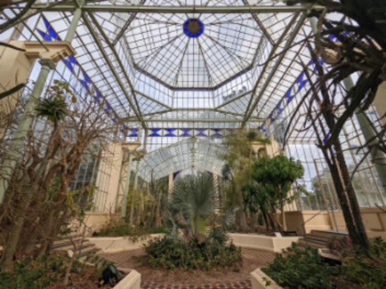 Adelaide_Botanic_Garden_6