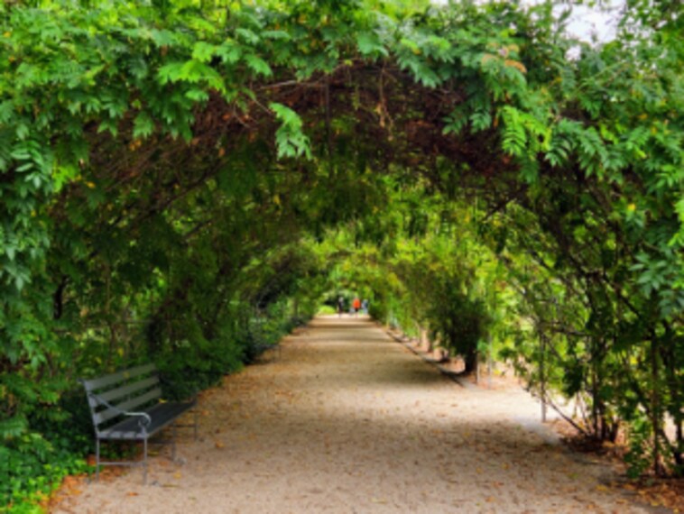 Adelaide_Botanic_Garden_7