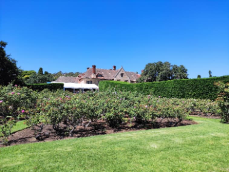 Adelaide_Carrick_Hill_6