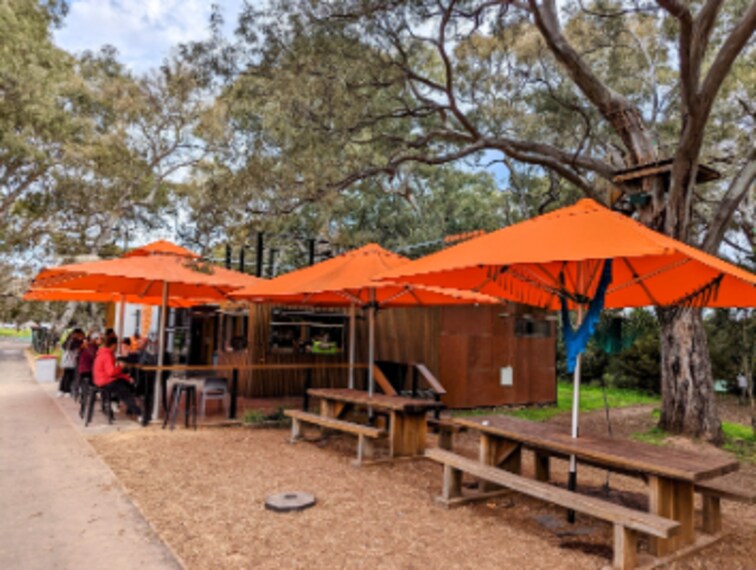 Adelaide_Tree_Climb_Adelaide_3