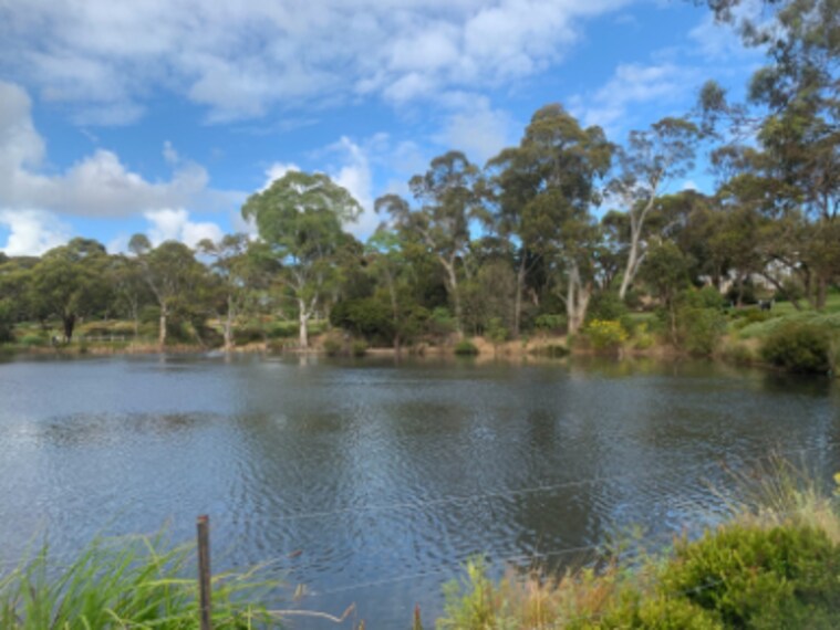 Adelaide_Wittunga_Botanic_Garden_5
