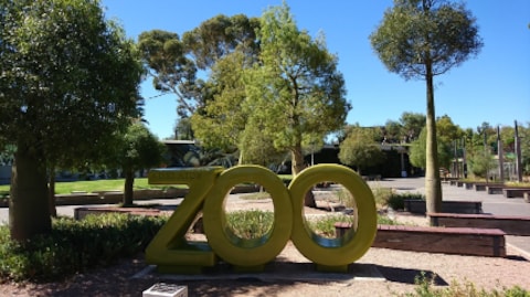 Adelaide Zoo